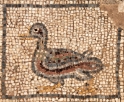 Ruins, Ephesus Turkey 11